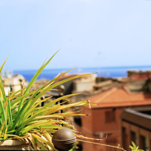 Vista dal balcone